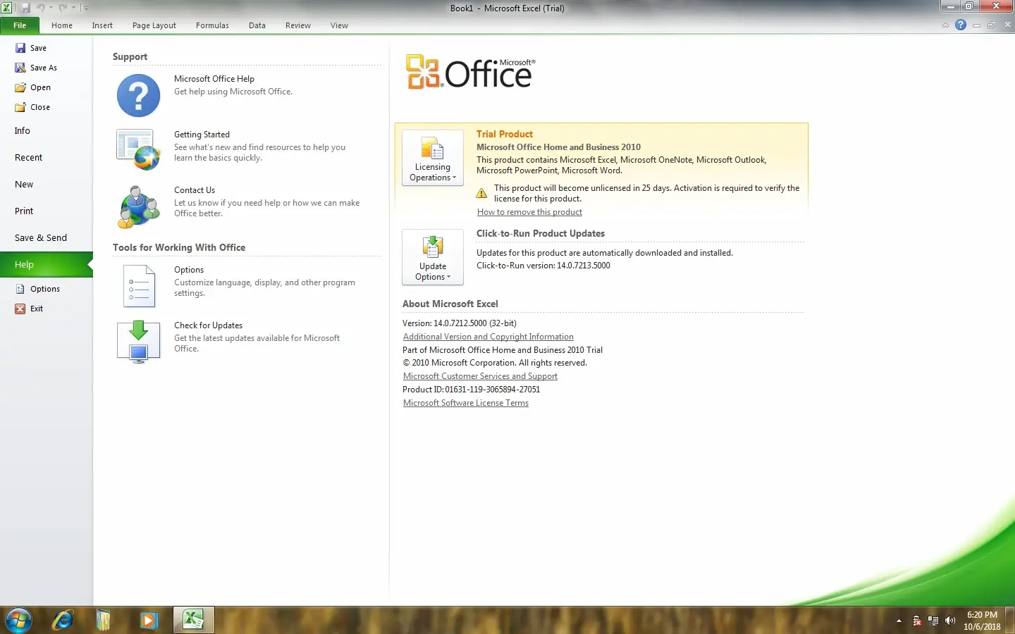 Microsoft Office 2010 Professional Plus trial version running on Windows 7 showing Excel 2010 license details